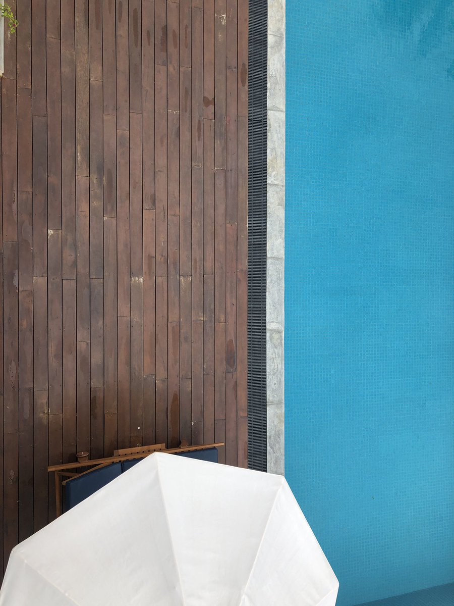 indra_fully's tweet image. Spinnen schwimmen immerhin nicht. #poolpic