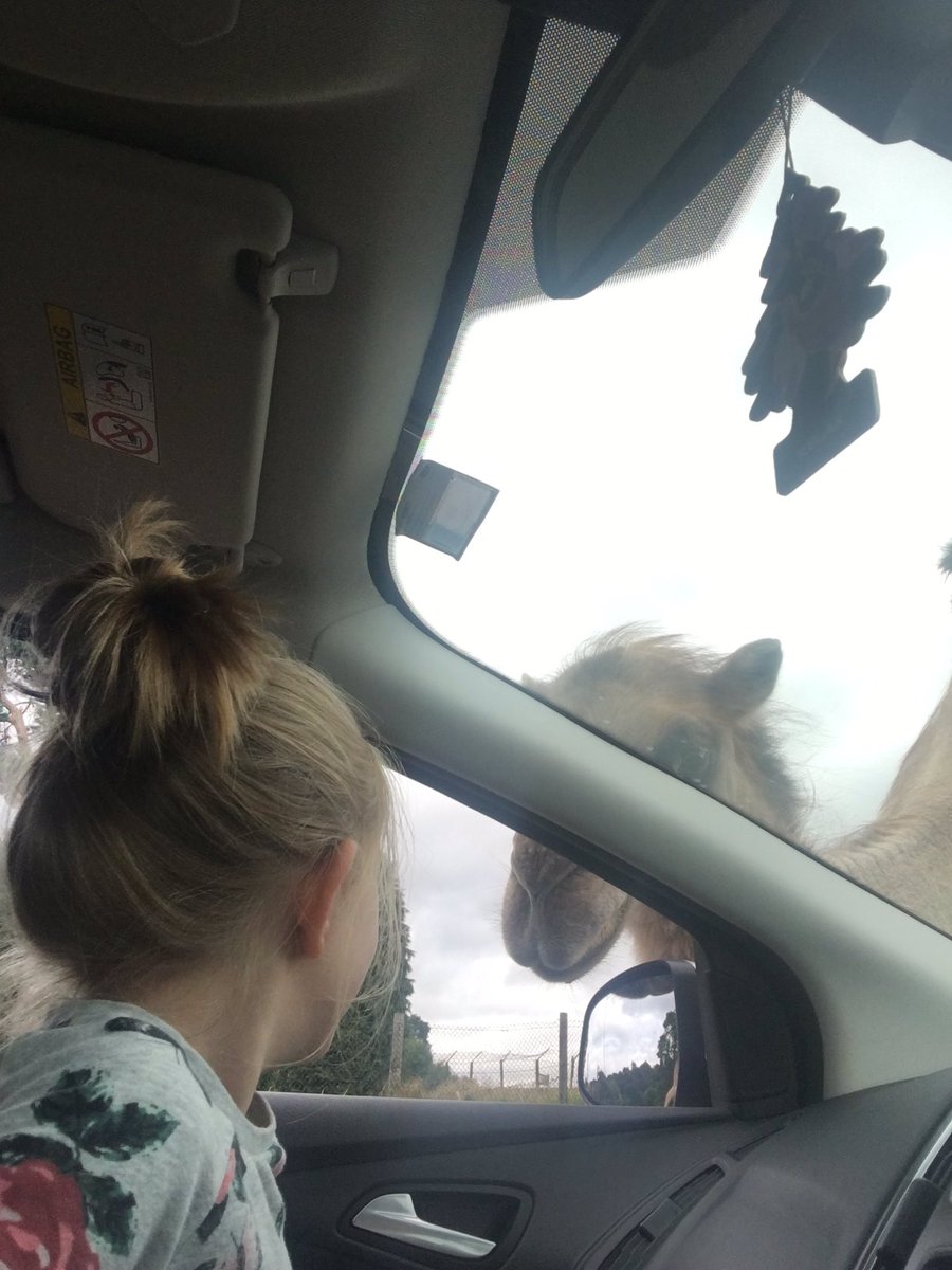 Soniadavison83's tweet photo. Good morning! Starting the school holidays @WestMidSafari #mammydaughtertime https://t.co/8J16HtoAKF