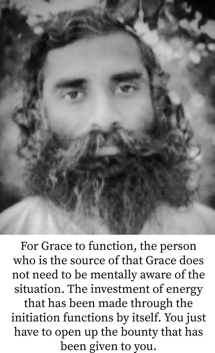 nanowellbeing's tweet photo. Grace https://t.co/dy1Y0fWo44