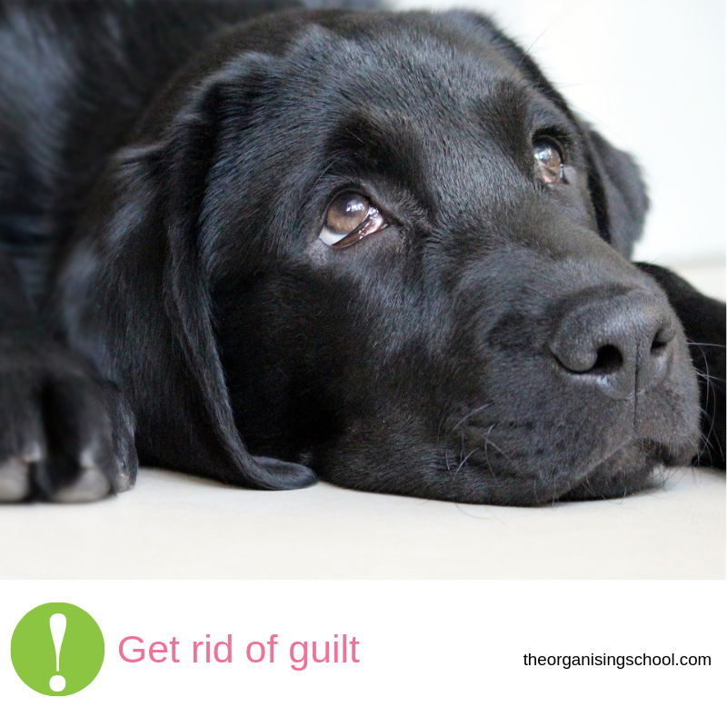 SaraHallPerth's tweet photo. If you have a #pet, you will know this look!Lol
I wanted to #touch on the guilt we can feel #around #sentimental #items.
Often #people keep items not out of #love or #nostalgia, but out of #guilt.
As #challenging as it is, this does not remedy anything and #clutters up our #home. https://t.co/VgqahmBCqJ