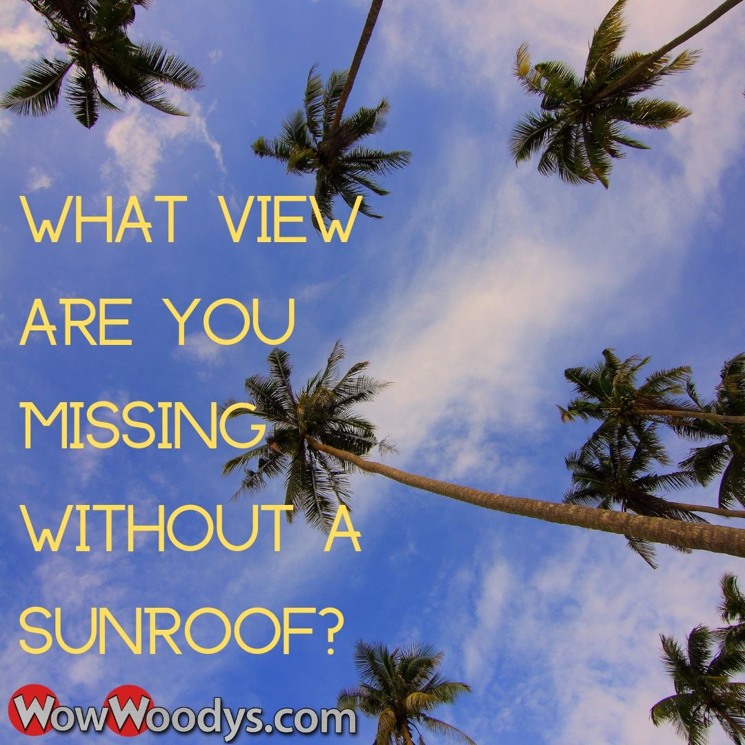 MAGCDJR's tweet photo. See what your are truly missing without a sunroof or convertible top! #sunroofview #sunroof #convertible #topsoff #summertime #beachtime https://t.co/ANWJ79Pg8d https://t.co/ds4sMUqGq7