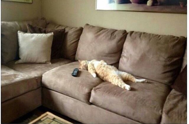 samara_karoni's tweet photo. My mom : get out of your room, you always lock yourself up in there!

Me : *taking my depression to the couch* https://t.co/WAj3ins1Q7