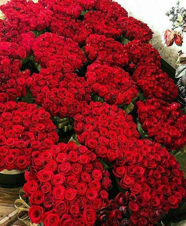 Alremmyyy's tweet photo. ﻣﻤﺎ ﻳﺠﻌﻞ ﻣﺴﺎﺋﻲ ﻣﻤﻴﺰﺍً
 ﻗﺂﺋﻤـﻬﮧ ﻣﻠﻴﺌﮩﮧ ﺏ ﺁﺷﺨﺂﺹ راقين .
مساء الورد متابعيني 

#قروب_عيد_المطيري  
#قروب_الحسناء_للدعم https://t.co/ttznAYZoDF