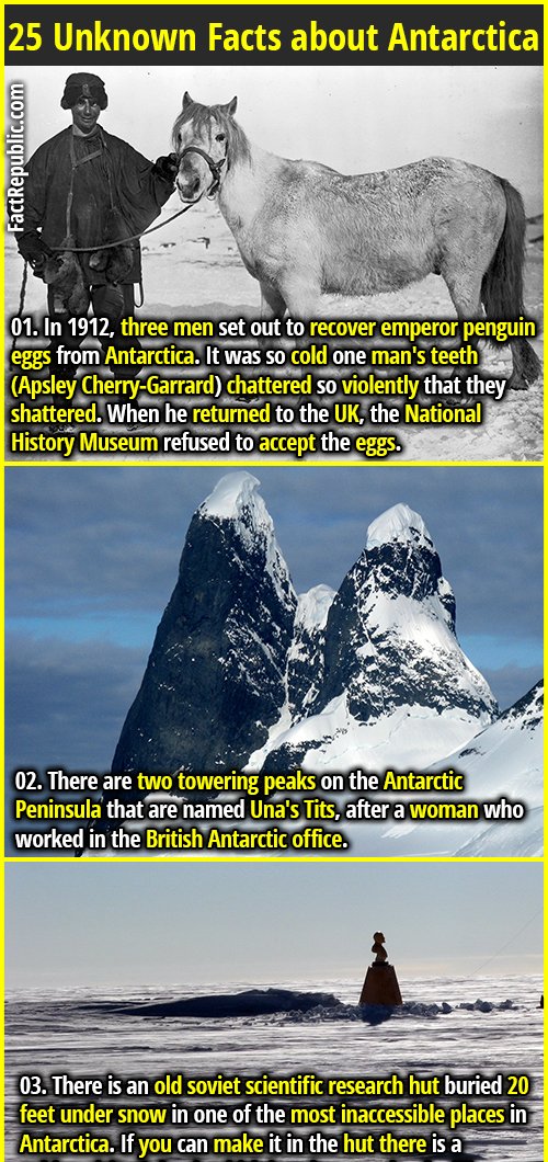 FactRepublic's tweet image. Check out our recent FR post

factrepublic.com/25-unknown-fac…