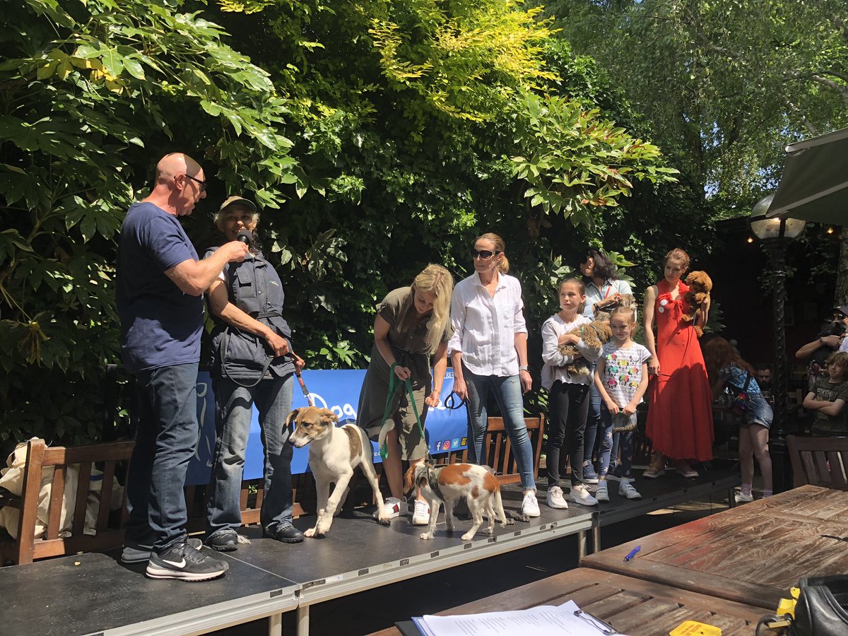 Marc Abraham OBE (@marcthevet) on Twitter photo Compering legend <a href="/phillassman1/">Phil Lassman</a> already in full swing with Cutest Pup at <a href="/AllDogsMatter/">All Dogs Matter</a> fun dog show at <a href="/thegardengate/">The Garden Gate NW3</a> :) #PupIdol #adopt #rescue #foster #nw3 Compering legend <a href="/phillassman1/">Phil Lassman</a> already in full swing with Cutest Pup at <a href="/AllDogsMatter/">All Dogs Matter</a> fun dog show at <a href="/thegardengate/">The Garden Gate NW3</a> :) #PupIdol #adopt #rescue #foster #nw3