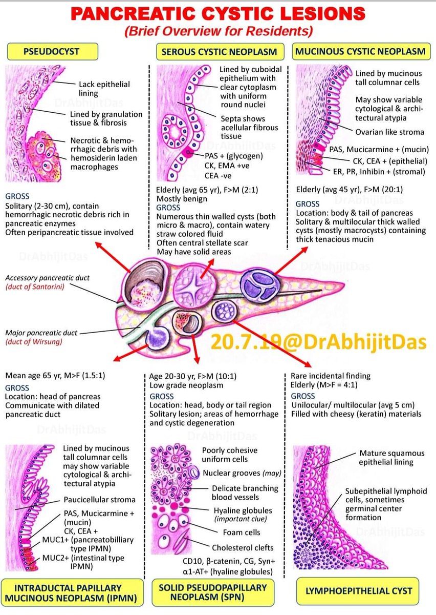 GeronimoJrLapac's tweet photo. So nice, as always !!!!! 
#gipath #pathology https://t.co/85IiHkjNfB