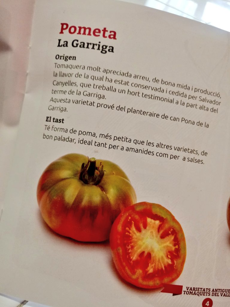 ERCLaGarriga's tweet photo. A la #firadeltomàquet del #VallèsOriental s'hi promou el #pometa de #laGarriga. https://t.co/ARcKHVzAJG