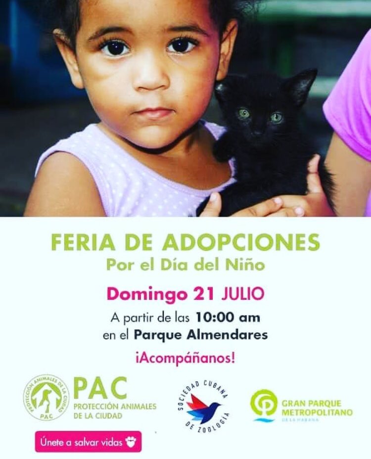pac_cuba's tweet photo. 🗣 Este #Domingo 21 de julio Feria de Adopciones 🙌🏾 Celebrando el Día del Niño 🐈🐕❣️ en el Parque Almendares #LaHabana
#Adopta #SalvaUnaVida #UneteAlCambio https://t.co/AGZ8EfoxNq