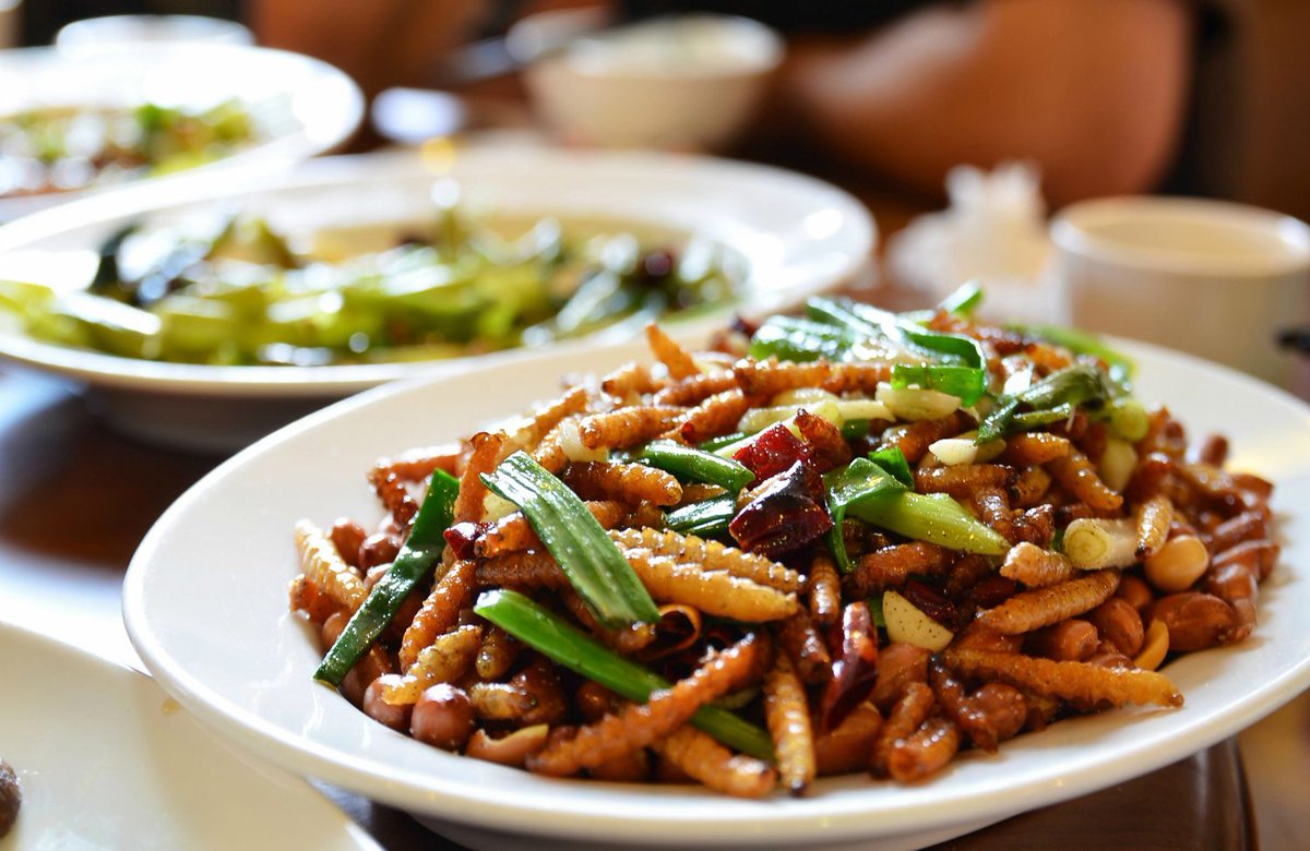 Insectos comestibles? ¿Carne cultivada en laboratorio? La verdadera comida del futuro bit.ly/2RlqAE0