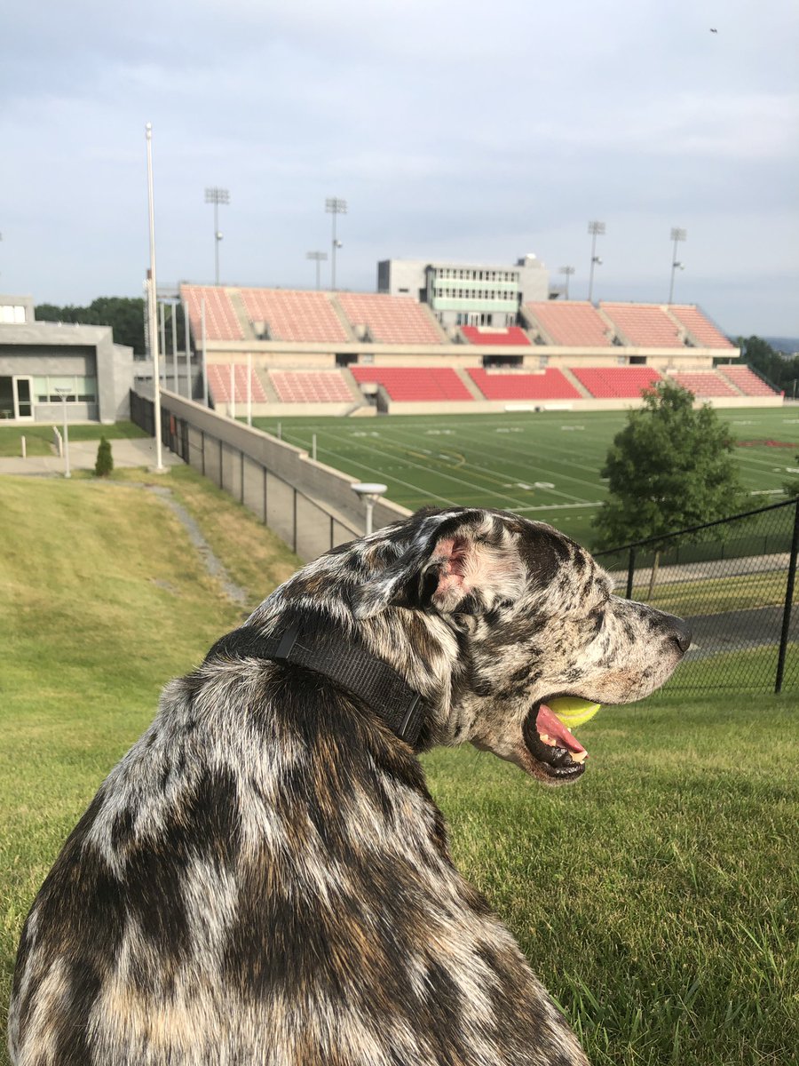 CoachJohnsonOL's tweet image. Rufio and I are beating the heat with a little morning work. #REDFAM #ECAV