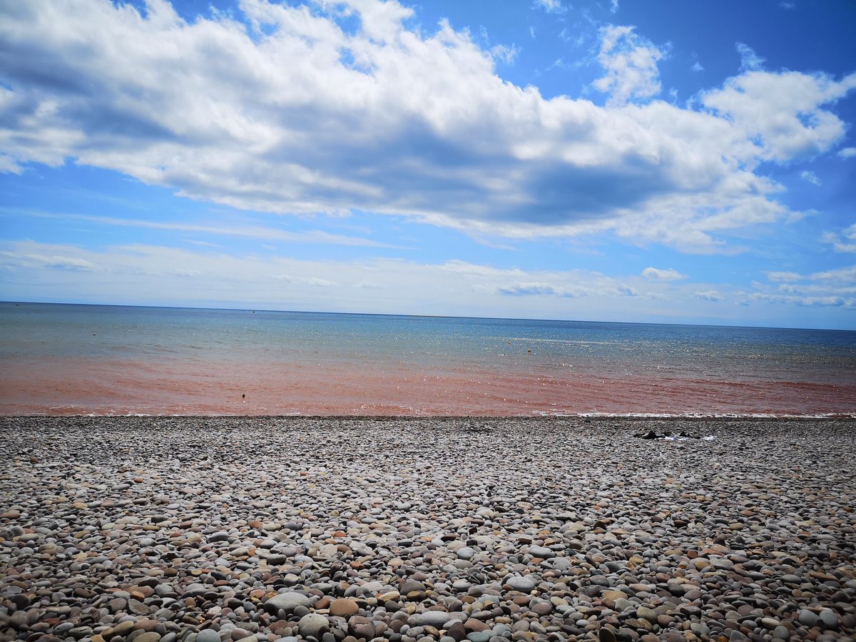 Amy Lyddon (@amylyddon) on Twitter photo It's a hard life working for <a href="/Devon_Opera/">Devon Opera</a> Final Così fan tutte today at Budleigh Music Festival ☀️ It's a hard life working for <a href="/Devon_Opera/">Devon Opera</a> Final Così fan tutte today at Budleigh Music Festival ☀️