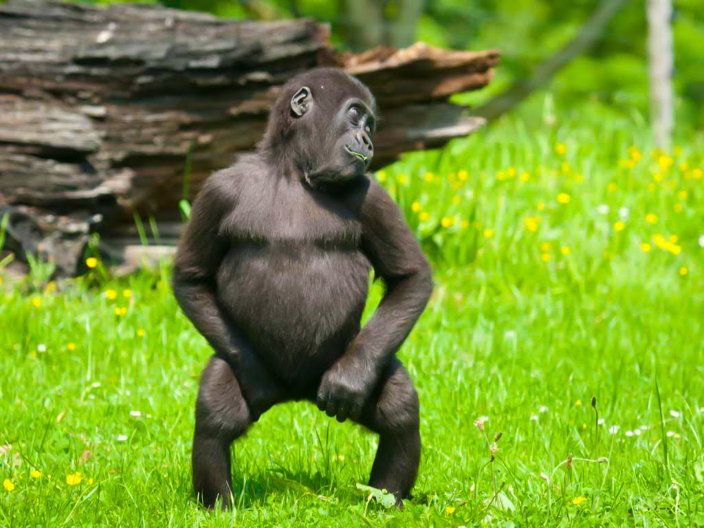iandalon's tweet photo. #WhenImSad I #Dance! https://t.co/ZrgPo0mDV5