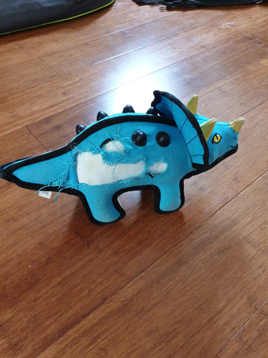 DuckoffMS's tweet photo. @petsathome, I  bought and gave my dog a Ruffer and Tuffer toy dinosaur and last night he got plastic stuck in his mouth, nearly resulting in an out of hours vet visit with a very distressed dog Not impressed and would like to warn others of the potential dangers of these toys https://t.co/QSyjPFc7u9