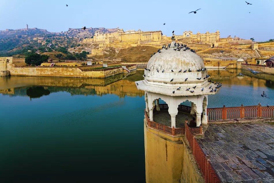 Jaipur's Amber Fort: The Complete Guide
tripsavvy.com/jaipur-amber-f…
#amberfort #jaipur #travelIndia