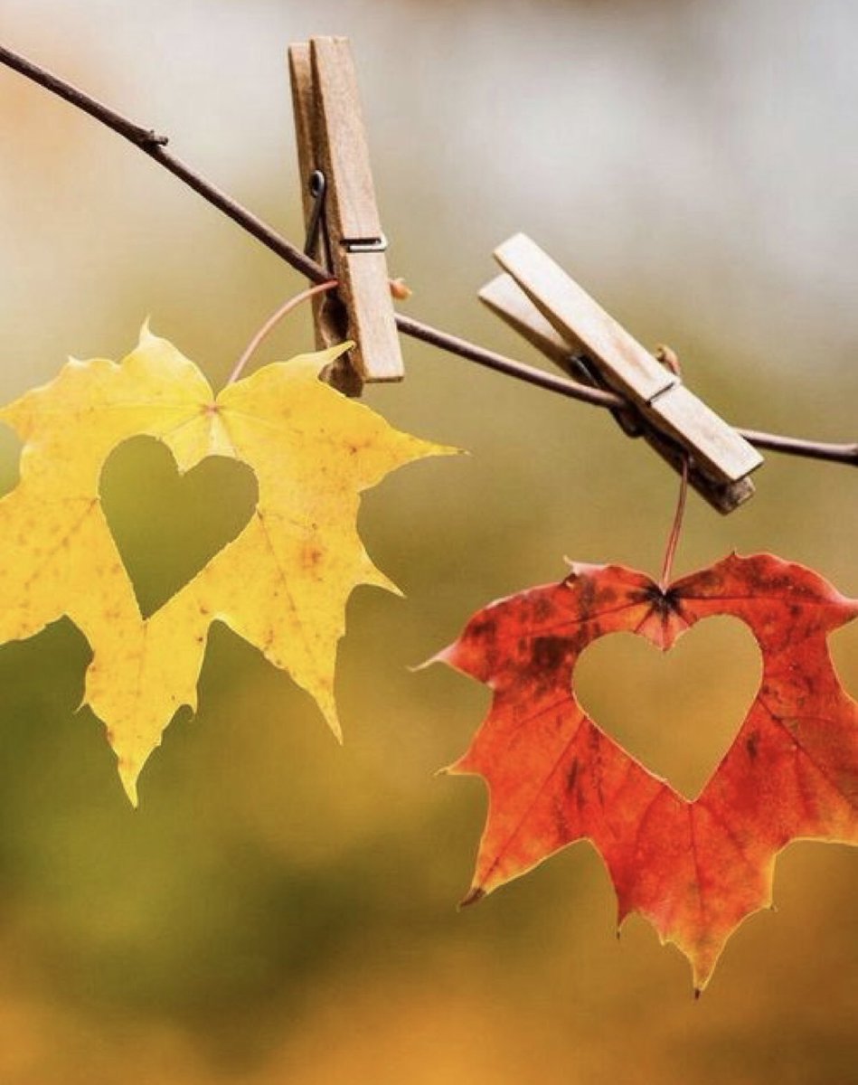 65 days till Fall, Y’all! In the meantime, it’s going to be another scorcher today so stay hydrated and don’t overdo it. 
Good luck to our Washington County All Stars!!! 
Get to the Farmers Market for fresh meats and produce. 
Paddle the Beech Fork River for a cool floatdown.