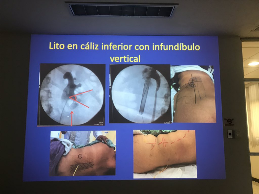 Mario Basulto-Martínez (@mariobasulto) on Twitter photo 