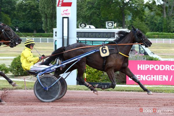 vente trotteur arqana