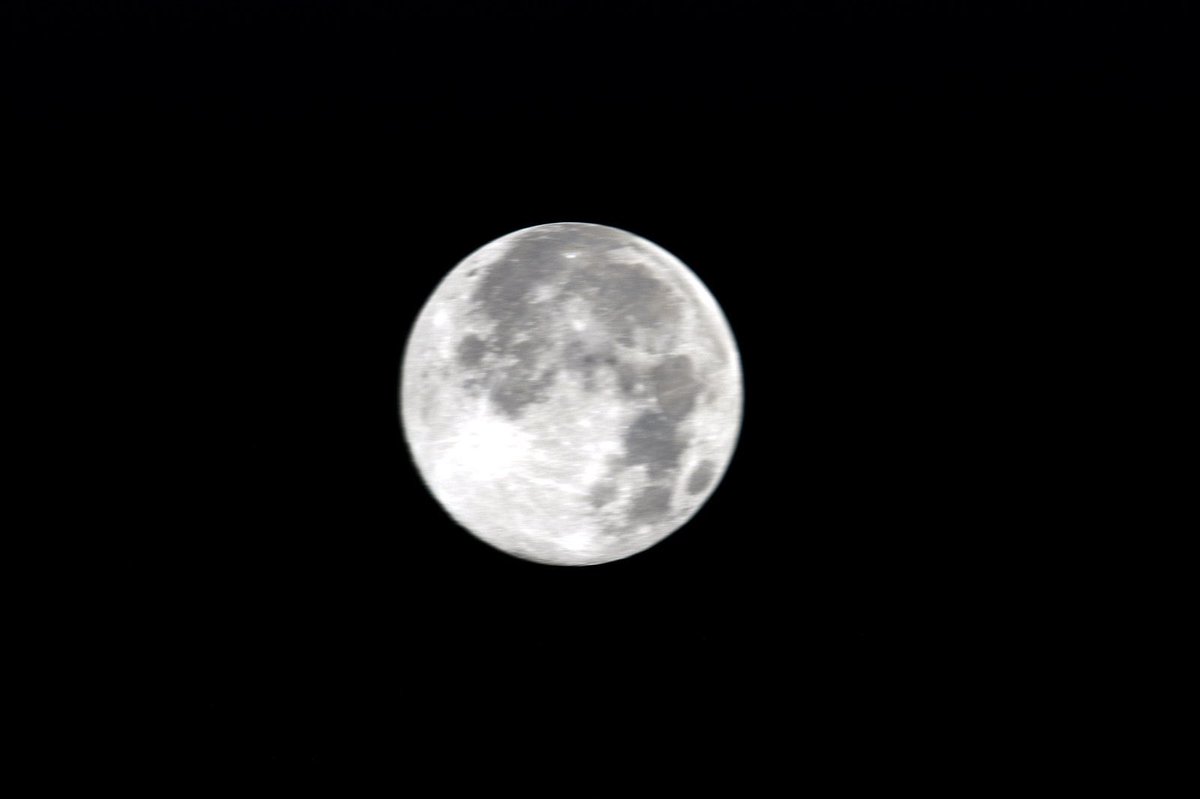 StationCDRKelly's tweet photo. Happy #Apollo50th! We did it. We accomplished what seemed impossible—an incredible feat for humankind. We know if we dream it, we can do it. As we look back on history and celebrate our giant leap. May we dream a new vision for the future and go achieve the impossible again! https://t.co/bU31qW3kA2