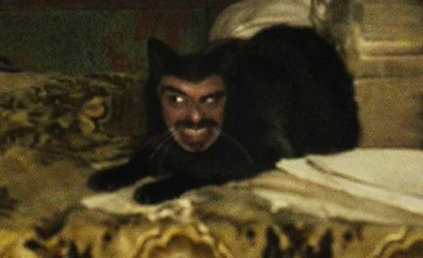 ChristiansonB's tweet photo. Nobody:
Cats 2019: https://t.co/BBaL1xUJOM