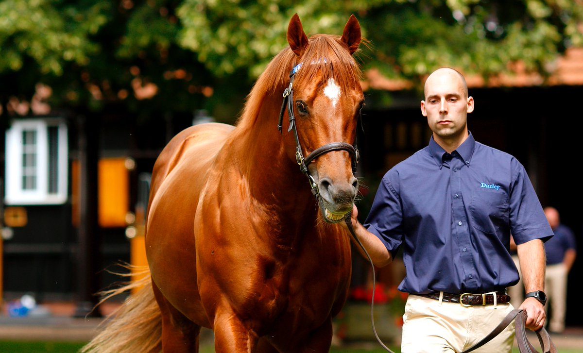 bloodstocknews's tweet photo. 🥇 @DarleyStallions' first-crop sire NIGHT OF THUNDER (pictured) sires new winner as DALANIJUJO (Ire) makes her winning debut in the 7f @BritishEBF fillies' maiden @DoncasterRaces for trainer @Mick_Channon.

See the winner's pedigree in EBN tomorrow 🔎

📸Pic: @Steven_Cargill. https://t.co/tLHM91Qbuj