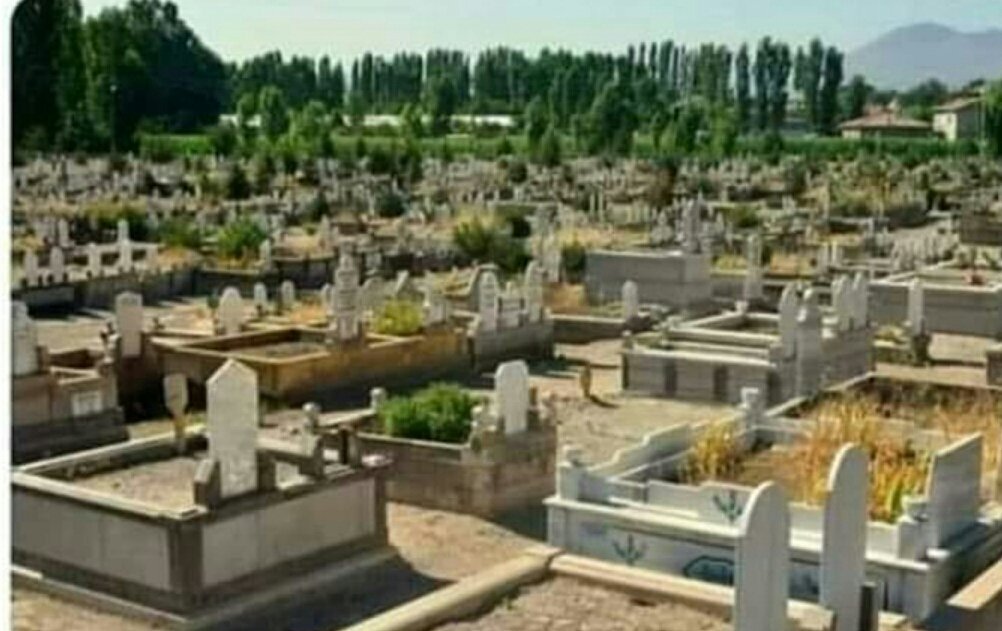 thelady_xx's tweet photo. Şöyle bir baktım da bir çok insan
#Faceapp ile yaşlılık halinin nasıl olduğunu merak edip paylaşmış
Bende genç yaşlı farketmezsizin
Hepimiz için kaçınılmaz son olan
#Finalapp paylaşayım da tam olsun 😂😂😂 https://t.co/ECPdllQX5r