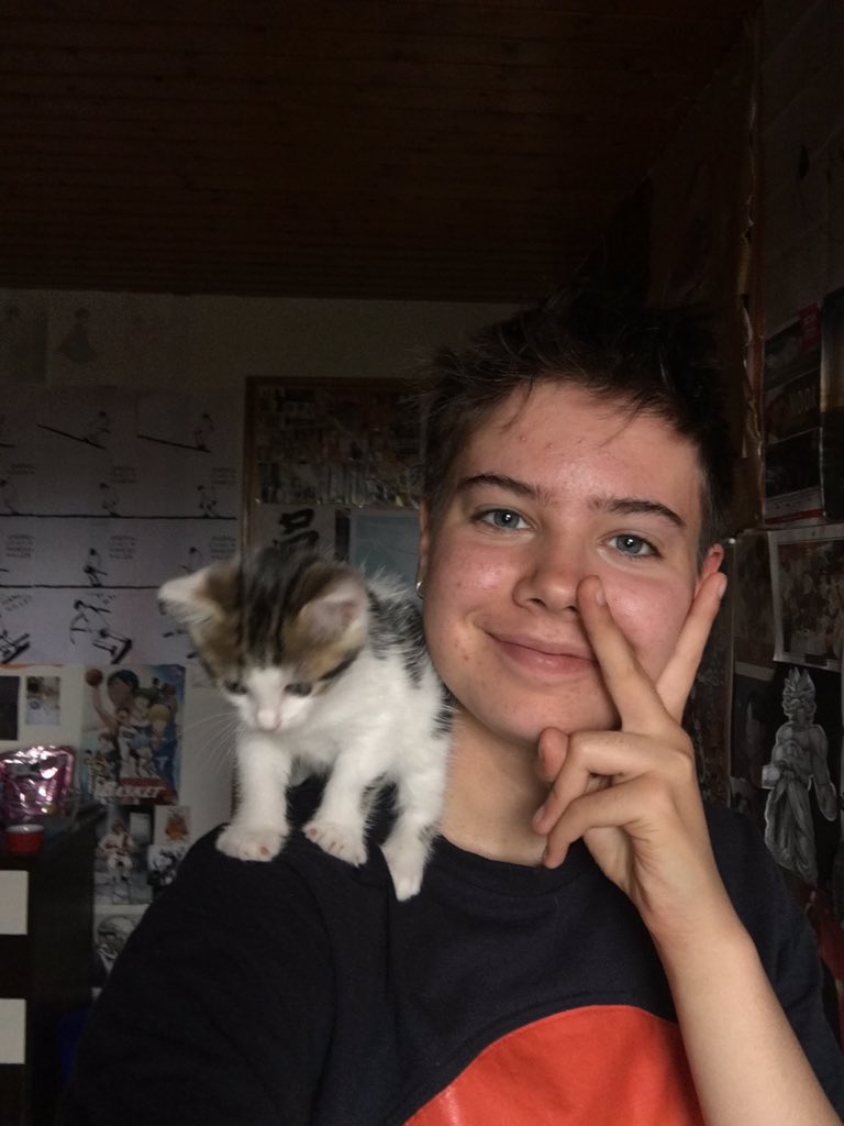 tenseokmin's tweet photo. #kittenupdates now that i have my phone back, i can properly show you the kitten!!!! i'll make a thread with pictures and videos because there's no way i'm keeping this lil guy's cuteness to myself!!!! https://t.co/2uLTlJFb3B