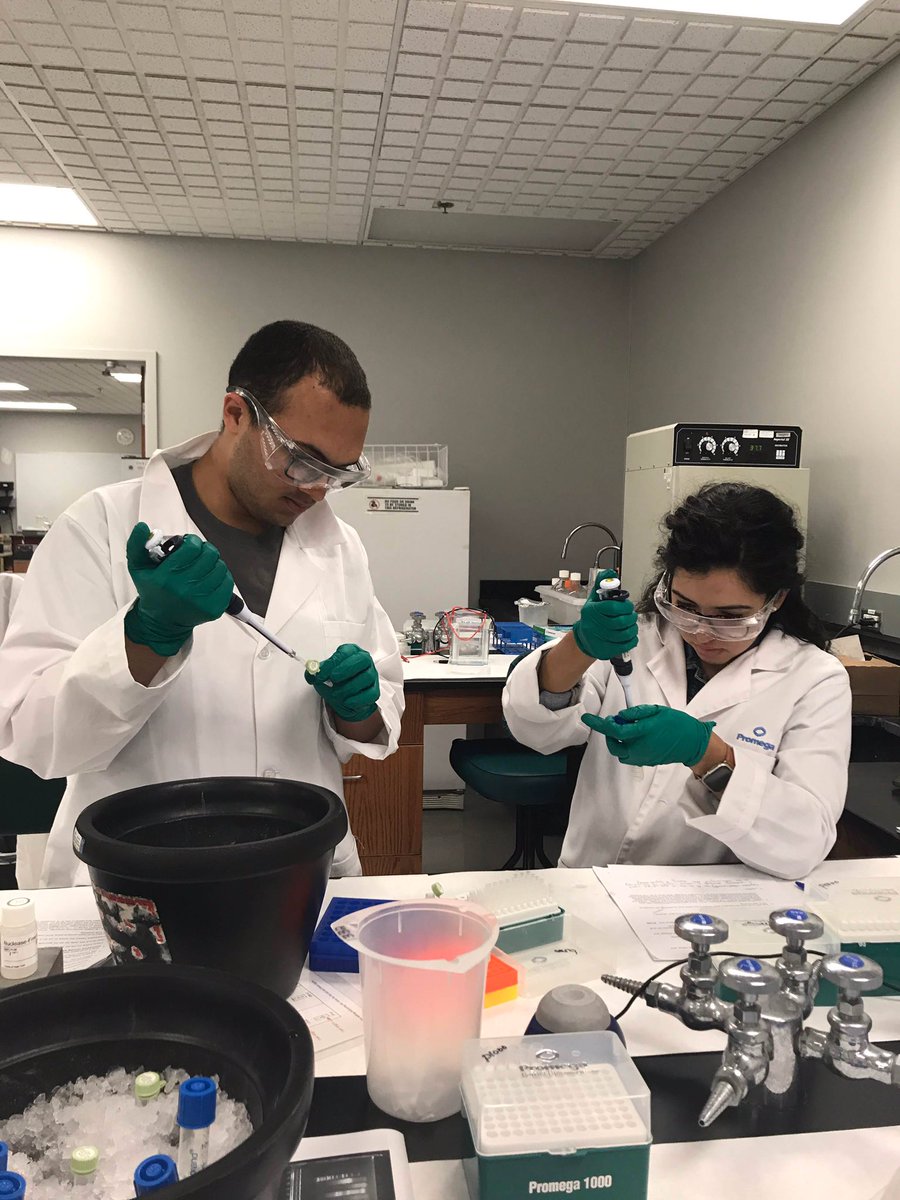 Had the pleasure and privilege of teaching UW Madison Oncology 675 students this week- 
Newly minted RNA isolation, cloning, protein purification and detection masters!
