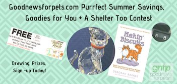 goodnewsforpets's tweet photo. Did you enter this summer’s @goodnewsforpets contest yet? Chance to win and help out a shelter too! Here’s the deets: https://t.co/Hpxf0SfaeU #goodnewsforpets https://t.co/3DjUtGUBSw