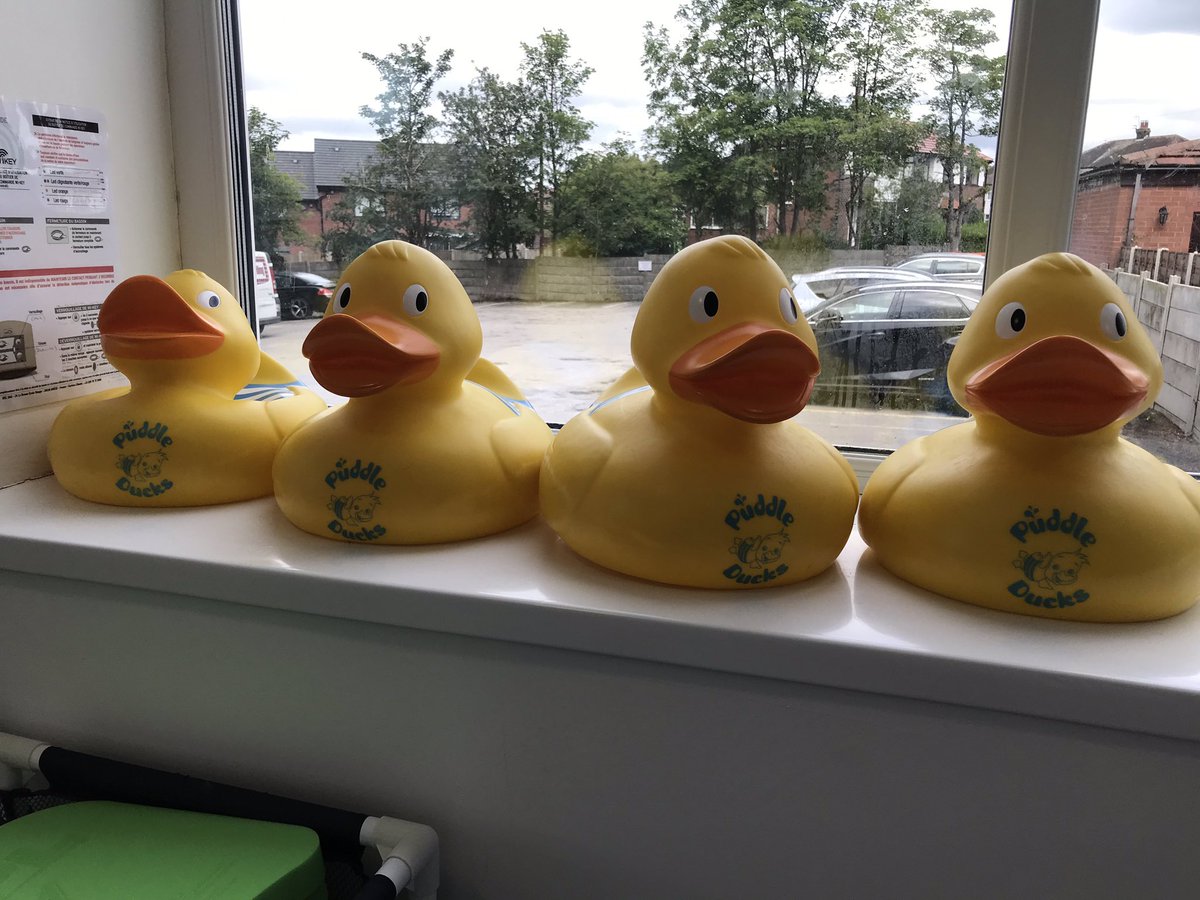 Alibex03's tweet photo. At @aqua_nurture to assess a @PuddleGtrMcr teacher. https://t.co/pc9DjomUKV