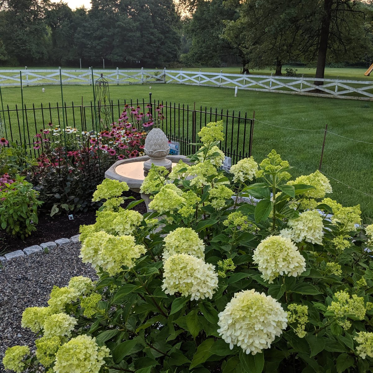 CallGreenValley's tweet photo. Happy Saturday from Rich's garden https://t.co/Puhlxwp7V4