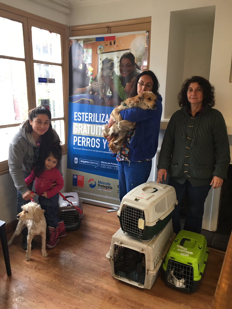 DRPREYES's tweet photo. amigas Rescatistas llevaron ayer a @VetCeba unos gatitos de abuelita que no se puede movilizar y dos perritas rescatadas del Río Mapocho a esterilizar y registrar en el proyecto de @Muni_provi #TenenciaResponsable @fundCeba @MascotaGob @evelynmatthei @botaspuesta https://t.co/5rtg9iZdFG
