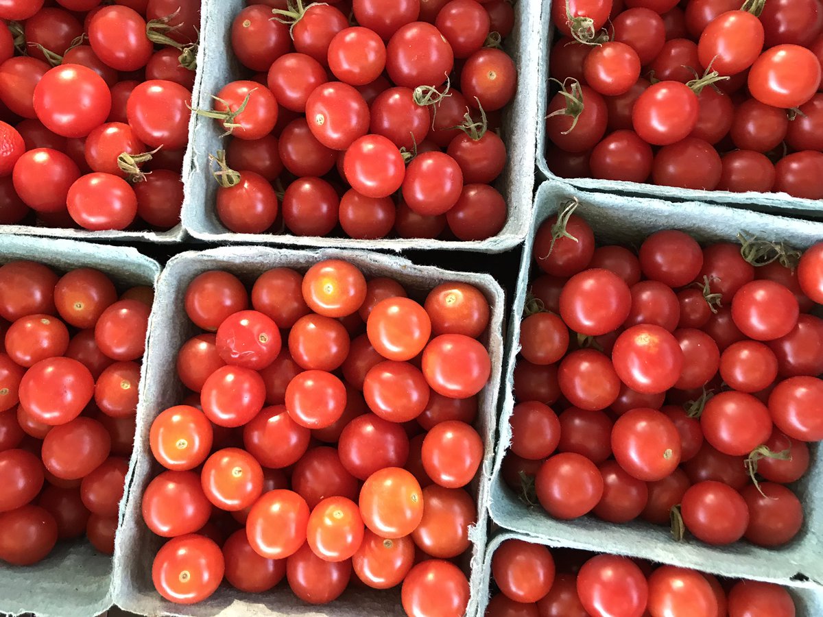 WildhorseMarket's tweet photo. Open until noon today.  #mustangok #okgrown#farmersmarket https://t.co/WjgBNDLUCv