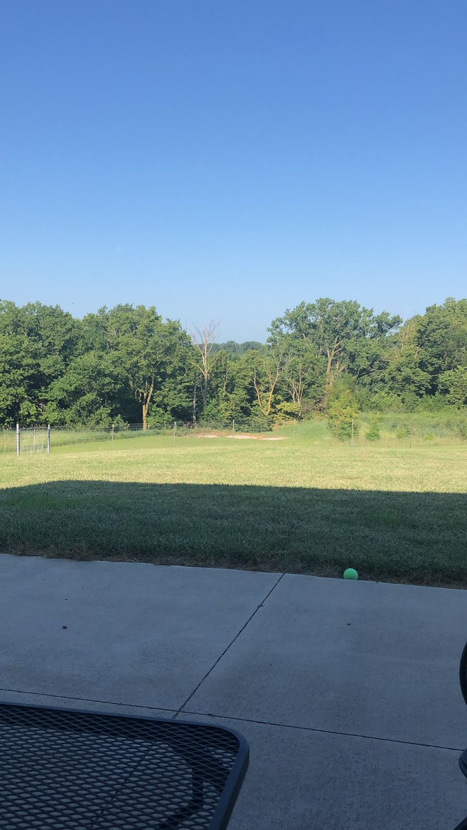 becky_weyer's tweet photo. Love summer mornings! https://t.co/HATuwCCpoc