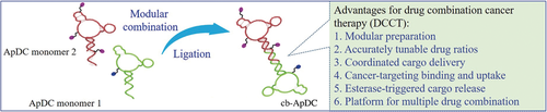 angew_chem's tweet photo. Molecular Engineering-Based Aptamer-Drug Conjugates with Accurate Tunability of Drug Ratios for Drug Combination #TargetedCancerTherapy (Tan) @UFChemistry #DrugDelivery #aptamers https://t.co/jP2repMmBK https://t.co/GBEN8f0r1d