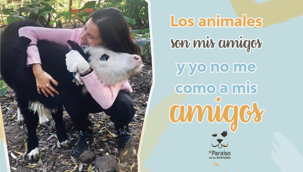 ❤¡Feliz día del 𝗔𝗠𝗜𝗚𝗫! 🌈
👫🐷👭🐮👬🐔
.
#ElParaisodelosAnimales #AmigosNoComida #Diadelaamigo #amistad