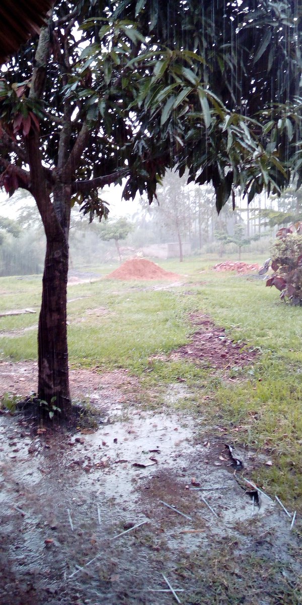 OJMChamberlain's tweet photo. Day 15- We have regrouped in Masindi with Lynne and Ronnie from @RedearthEdu to reflect on the last two weeks and think about what we've learned.
Also enjoyed some great rain over Africa...
#toto #ThisIsLfS #LearningForSustainability #globallearningpartnerships #GLP2019 https://t.co/KOW905Hf9J