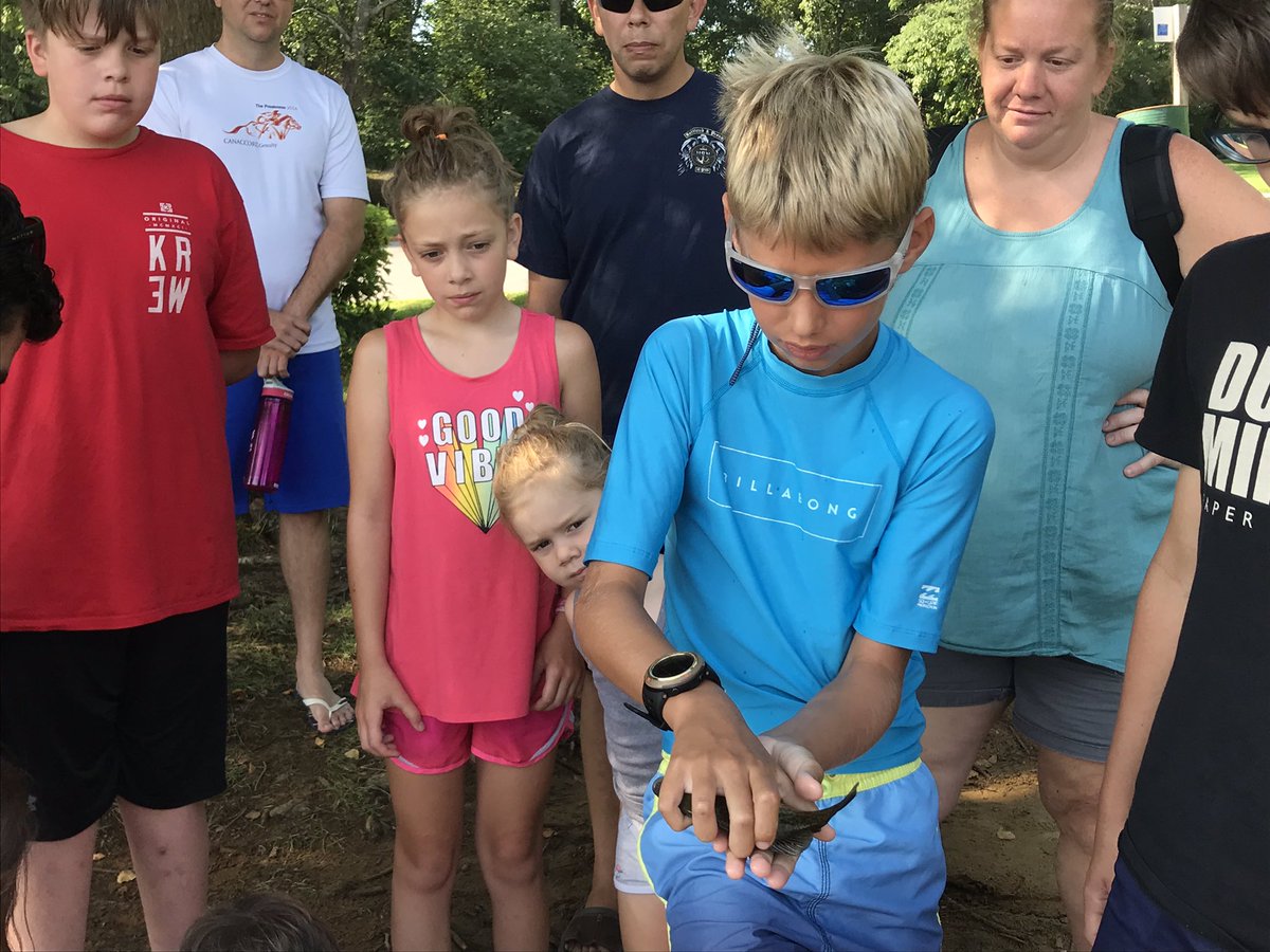 We found pickerel, baby rockfish and pumpkin seed fish in Spa Creek at our first seining of 2019 this morning