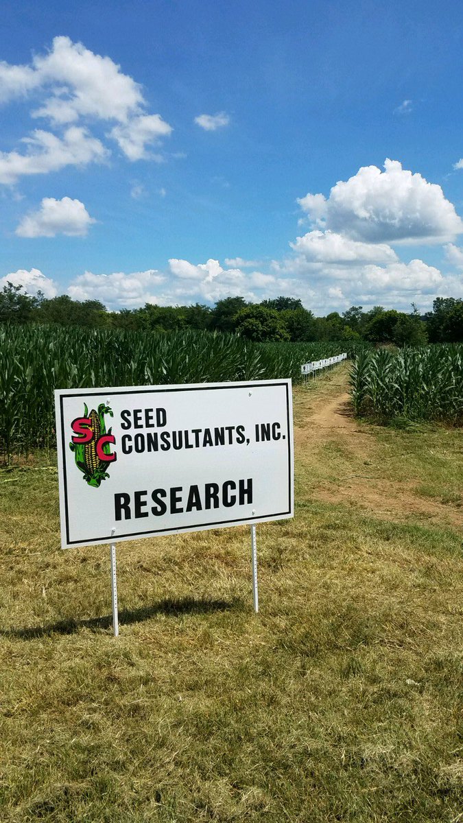 SeedConsultants's tweet photo. Harrisonburg, VA plot looking extra photogenic! 😎📸💯 #SeedConsultants uses extensive plot data to help our team provide product recommendations that yield results for our customers! #MySeedConsultants #ScoutingFields https://t.co/9Q8j7X9AUF
