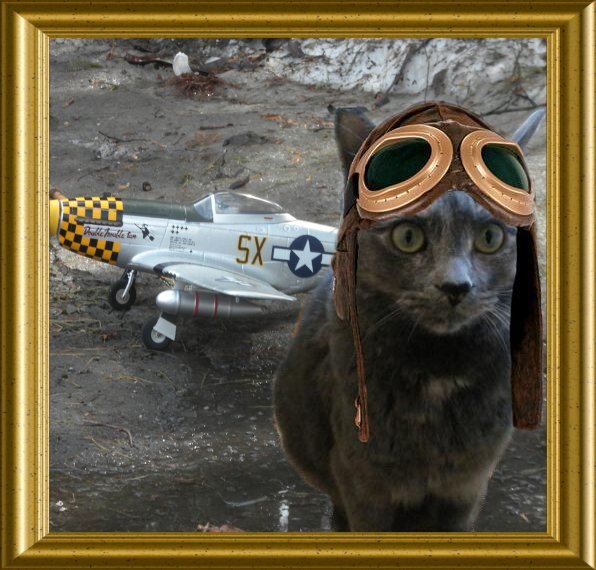 Please join the OTRBflight #TheAviators  member Santina family member of <a href="/MarblcakeJemna/">Capt Shya & Moonbeam</a> today at 8:00 pm BST (3:00 pm EDT) All are welcome 
Please do RT to spread the word.