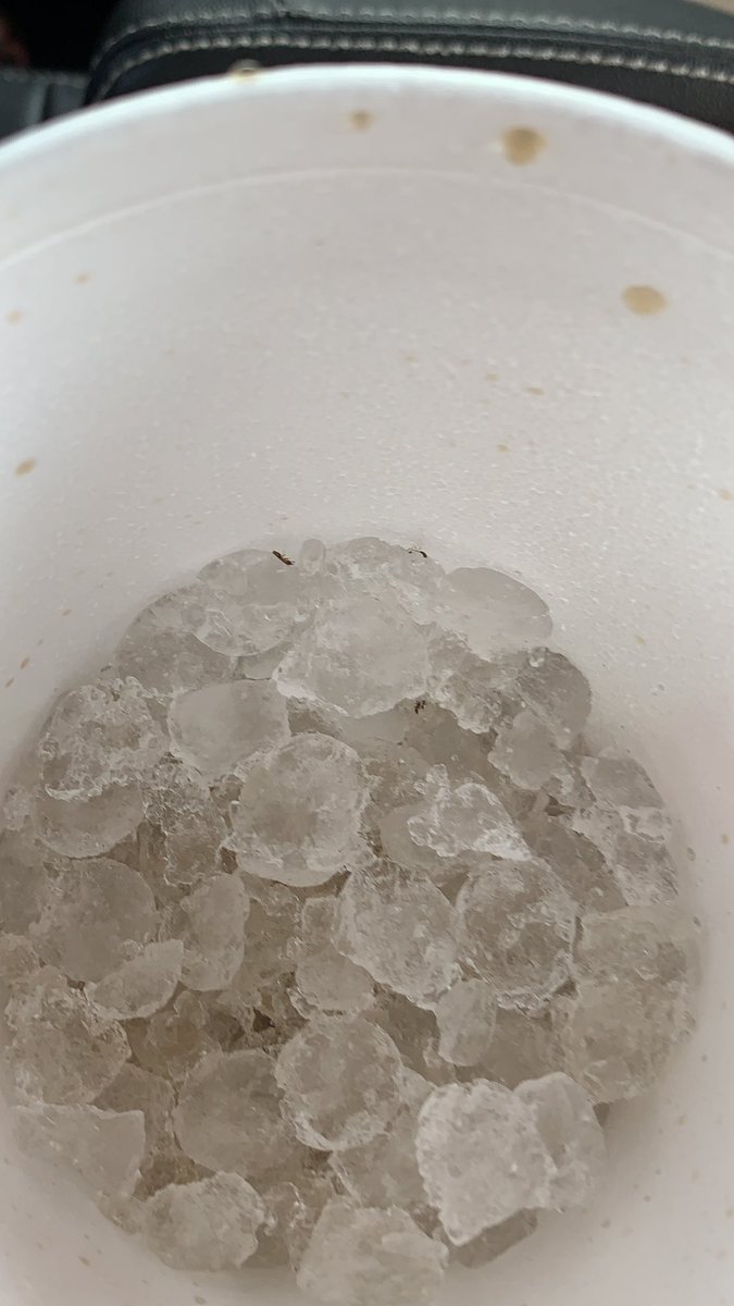 sarahrowski's tweet photo. @ChickfilA Opened my cup to chew on your amazing ice to find ants crawling everywhere. Not the protein I thought I needed this morning https://t.co/ctX8uwEV4H