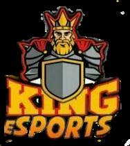 TeamPekka tweet media