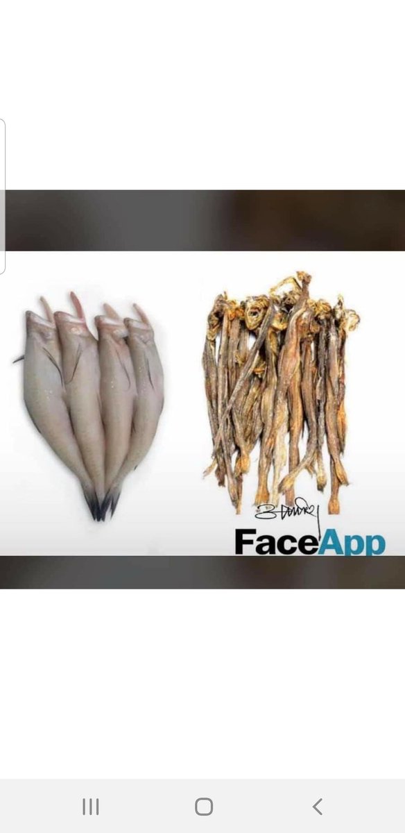 shamik_gaitonde's tweet image. This is next level!! 😂 #bombayduck