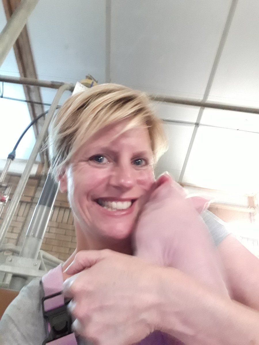 HeleenHoltmanns's tweet photo. Having fun #pigstyle https://t.co/jJUabLbWeC