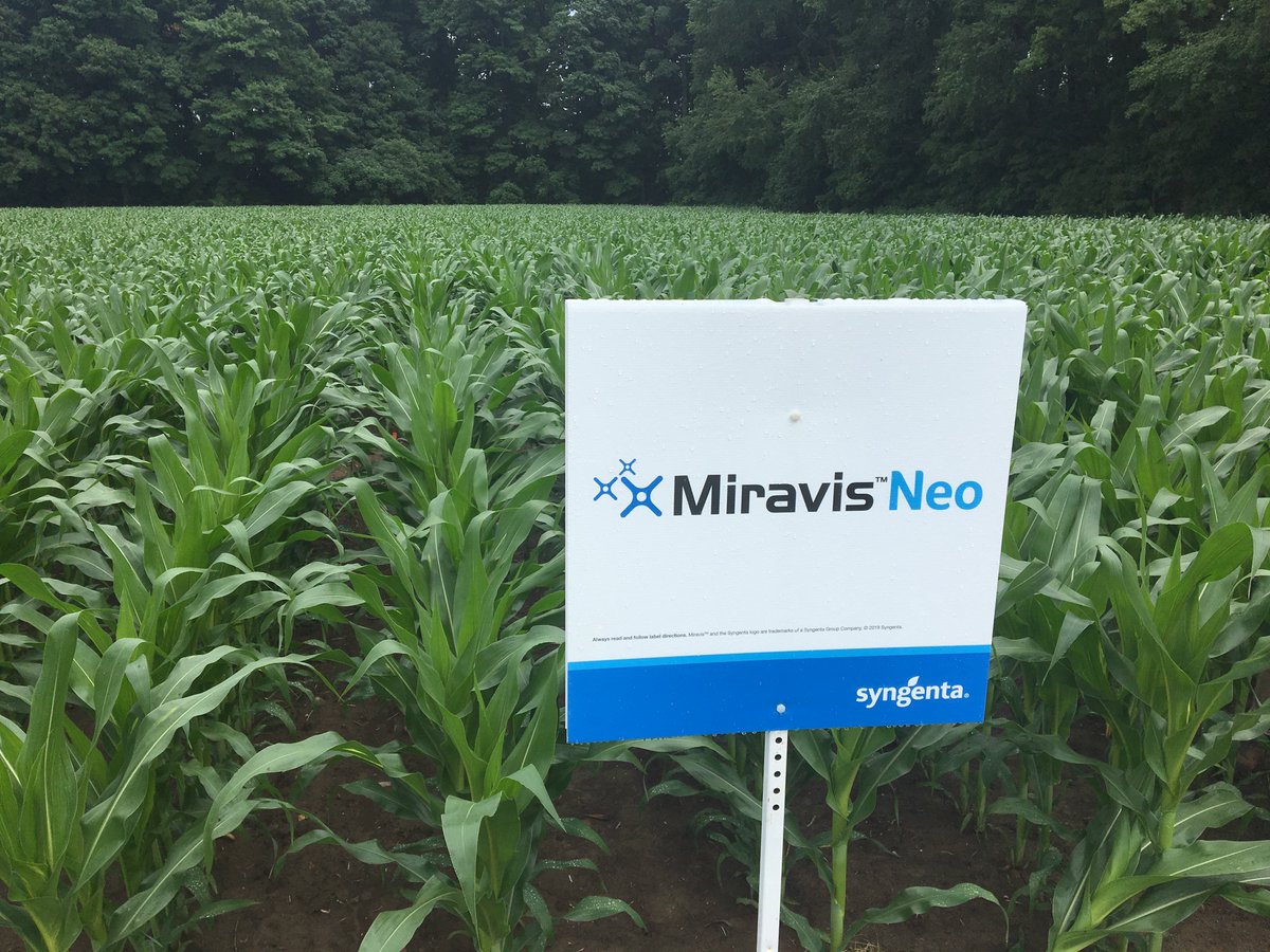 This week <a href="/syngentacanada/">Syngenta Canada</a> rolled out Miravis, a new fungicide brand that will offer five new products growers can use to fight disease in 2020. We have a full report: bit.ly/2Y6c4lk