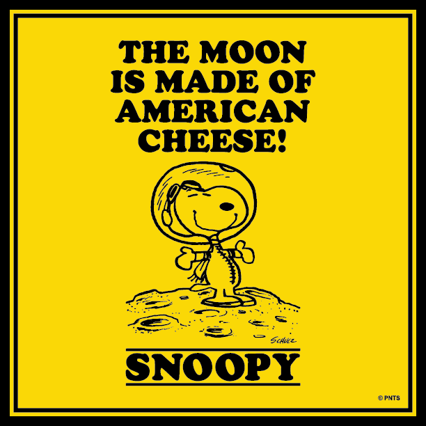 Snoopy's tweet photo. Today we celebrate the #Apollo11 50th Anniversary! #Apollo50th https://t.co/VitEpLgTL3