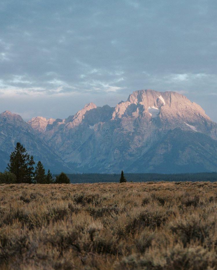 While a physical fitness routine is certainly important for wellness, Fenn’s cooking reminds us that we can all use a little more brain food in our lives. 

Tap the link to read Eating Smart: How Chef Annie Fenn Uses Brain Food for Wellness. 

bit.ly/2XNrfjb