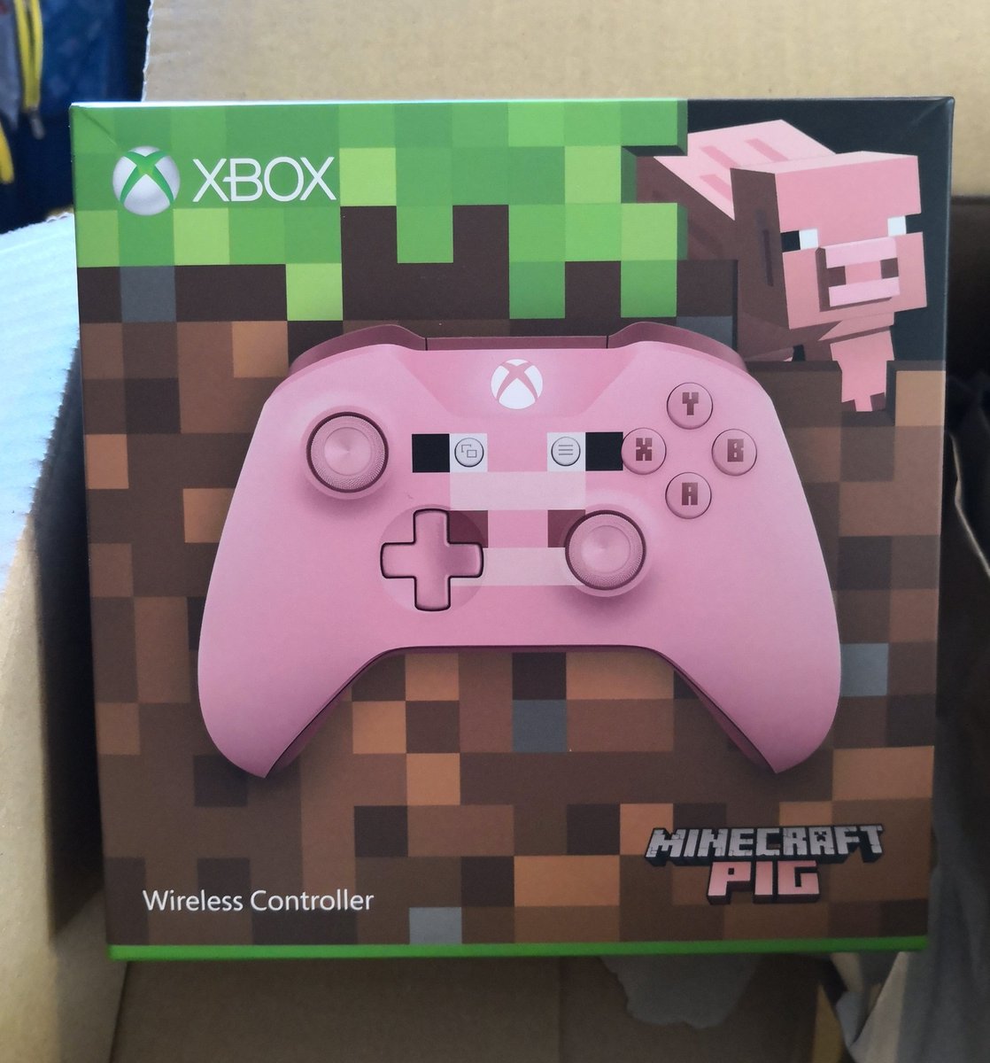 QueenPrisGamer's tweet photo. Look what the Amazon train brought in... Lol #Minecraft https://t.co/W5daziE87I