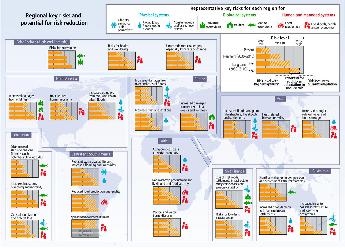 pdf investigating the evaluation of higher education in germany a case