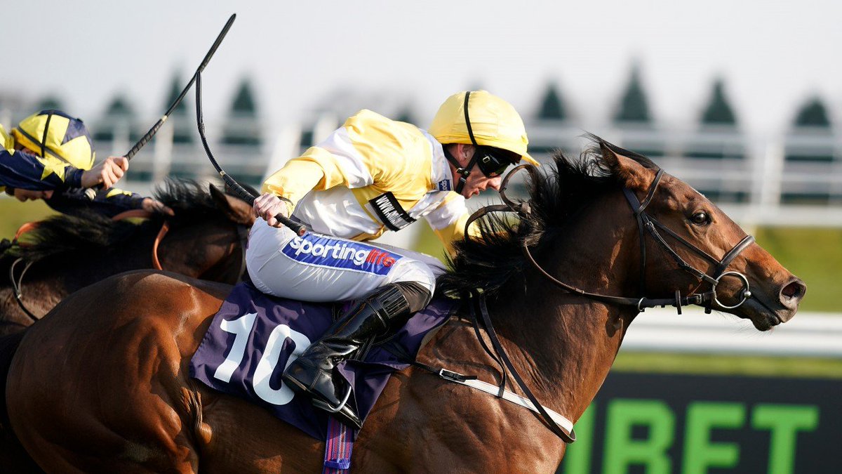DaveStevos's tweet photo. So close...#ShowMeShowMe runs a massive race for @OntoawinnerNEWS @NewburyRacing in the #SuperSprint, losing out in a photo. Still, each way bets landed advised at 28/1 on the @TXODDSOfficial blog and returns at 33/1 #FreeTips https://t.co/q1wgyaBFaN https://t.co/zQ9UlRXpEi