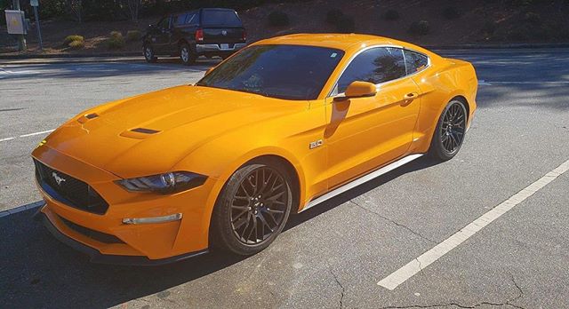 MustangShoutOut's tweet photo. REPOST⁠ ⁠ The real car or a model 🤷‍♂️ #mustanggt #mustangweek #mustang #mustangang_ #mustang_fans #mustang_video #mustangs #mustang_fan_page101 #mustang5oh #mustangfanclub #mustang_addict #mustangmagazine #mustanglife #mustang_freakzz #mustangporn… https://t.co/J0LU5HCTWo https://t.co/8hQ3EYAtQo